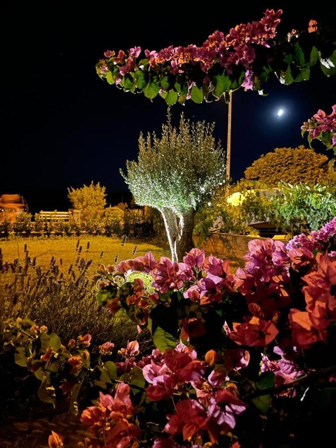 Apartments Villa Oliva Turanj Dış mekan fotoğraf