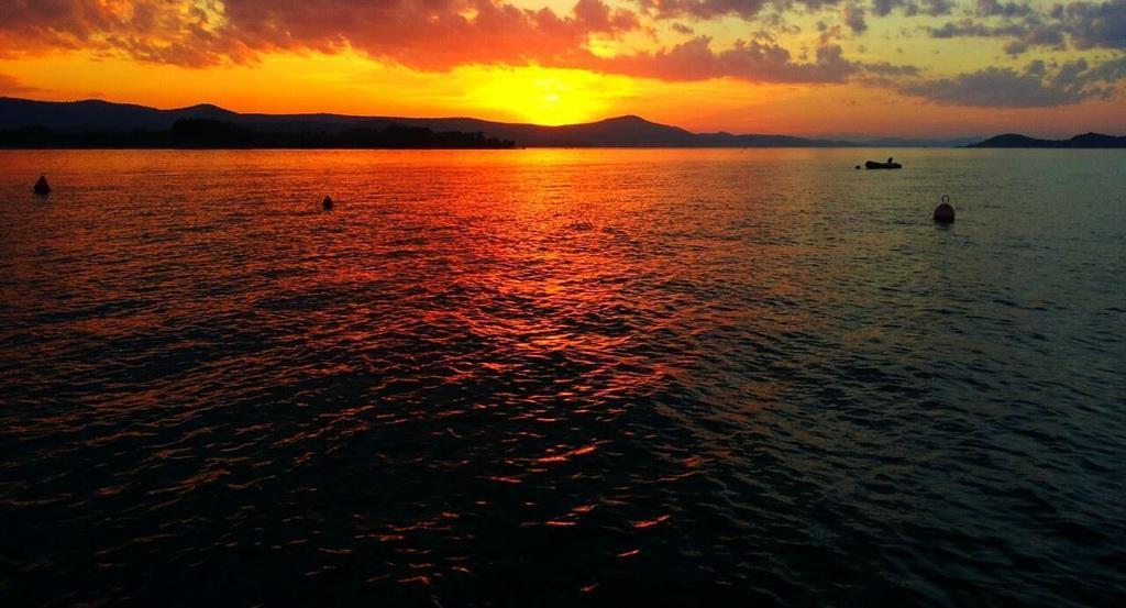 Apartments Villa Oliva Turanj Dış mekan fotoğraf